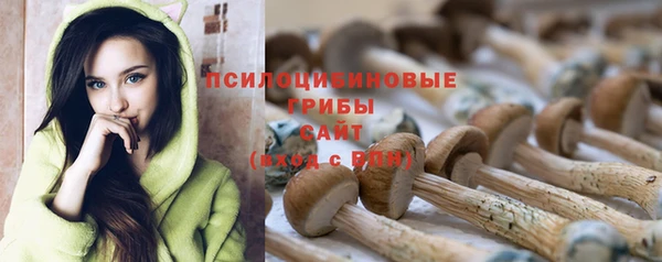 гашик Верхний Тагил