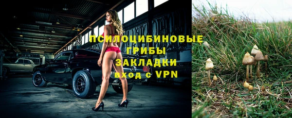 твердый Волоколамск